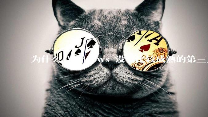 为什么 Windows 没有比较成熟的第三方桌面环境（explorer.exe）？