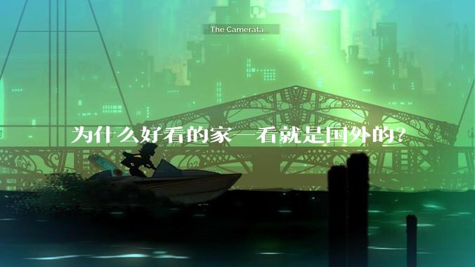 为什么好看的家一看就是国外的？