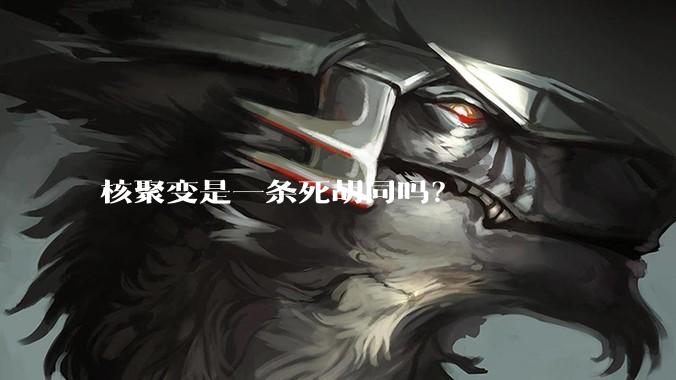 核聚变是一条死胡同吗？